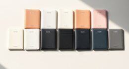 stylish minimalist passport holders