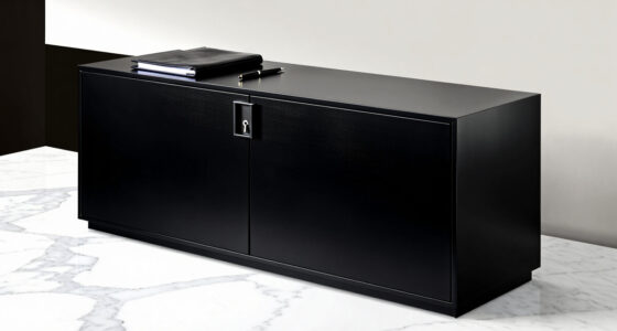 6 Best Locking File Cabinets for Home Office Records in 2026