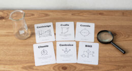 10 Best Science Reference Flashcards in 2026