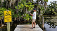 Alligators injure three, one fatally, in string of attacks in Florida