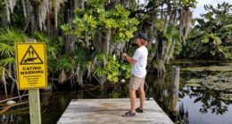 Alligators injure three, one fatally, in string of attacks in Florida
