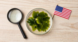 E Pluribus Algae: Why Green Pond Scum Is as American as Red, White and Blue