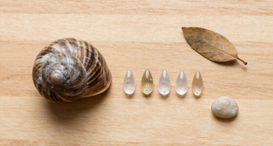 Snails' teeth beats spider silk as nature's strongest material (2015)