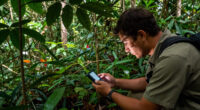 Odzala-Kokoua National Park Surges In Global Coverage