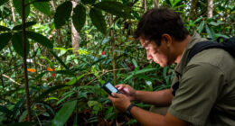 Odzala-Kokoua National Park Surges In Global Coverage