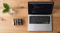 Rust Project Goals: Immobile Types And Guaranteed Destructors