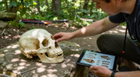 Neanderthal, Nordrhein-Westfalen, Germany Surges In Global Coverage