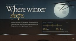 Hibernaculum — Where Winter Sleeps (FABLE/175)